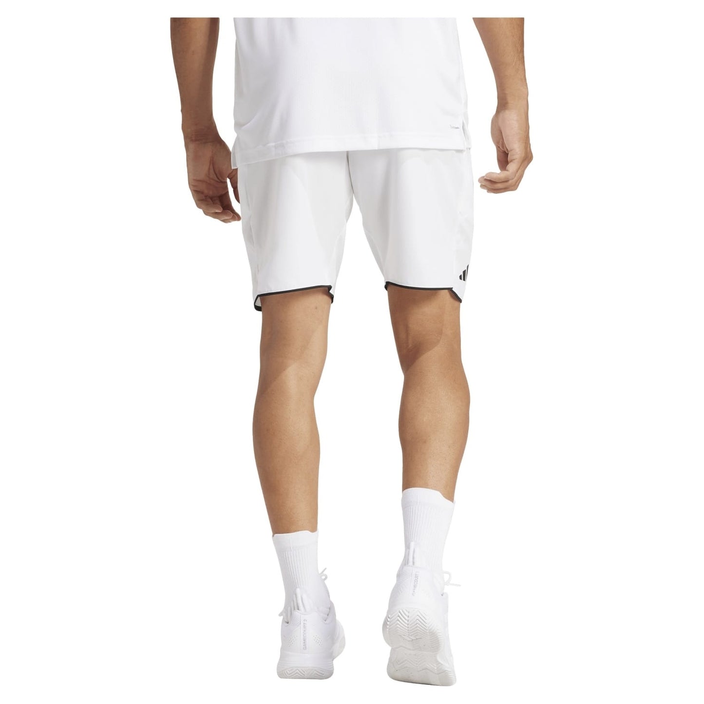 Adidas Club Men Shorts - White
